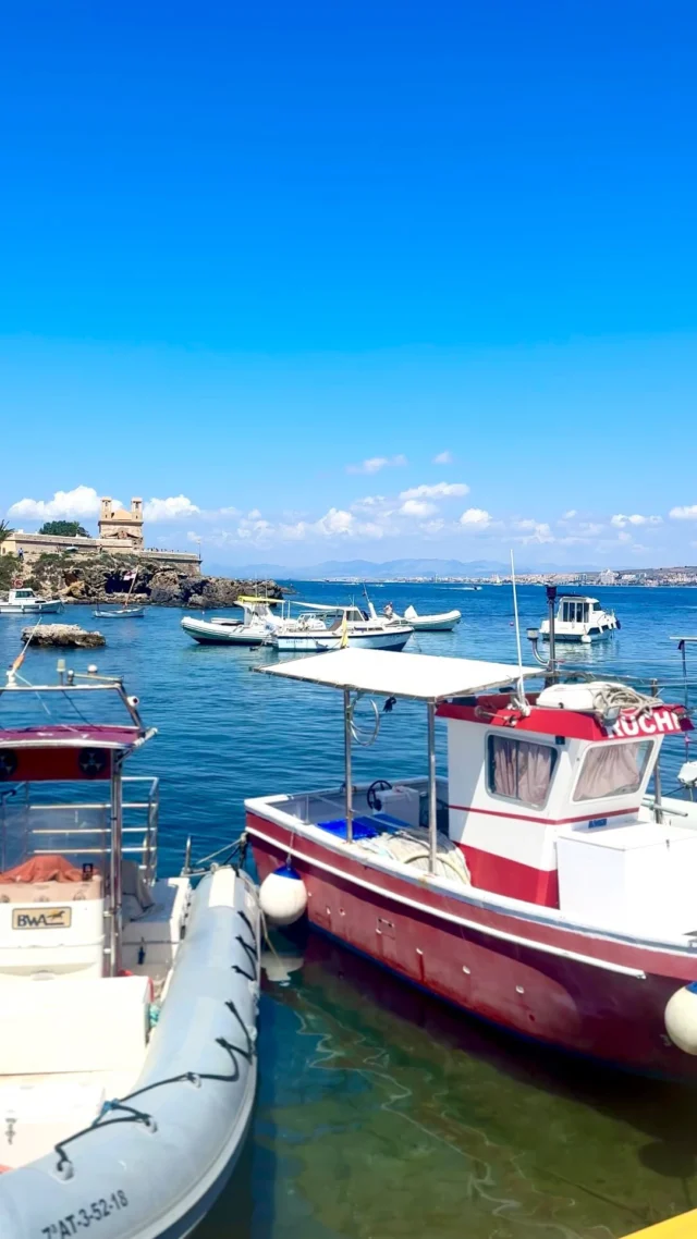 Tap for more information ⬇️

📍Tabarca Island, Valencian Community 

Tabarca is a perfect day trip destination from Alicante or Santa Pola. 

FREE travel guides on
𝐰𝐰𝐰.𝐭𝐫𝐚𝐯𝐞𝐥𝐝𝐫𝐞𝐚𝐦𝐞𝐫𝐬𝐩𝐚𝐢𝐧.𝐜𝐨𝐦

Link in bio ✨

•
•
•
•
•

#tabarca #tabarcaisland #beachlife #spain #spaintravel #visitspain #shetravels #sheexplores #placestovisit #bestdestinations #mediterranean  #vitaminsea #spain🇪🇸 #spain❤️ #alicante #valenciancommunity #traveldreamer #europetravel #alicantespain #goodmorning #dreamdestinations #santapola