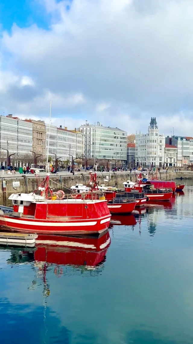 📍Port of A Coruña, Galicia 

#acoruña #lacoruña #galicia #spain #spaintravel #visitspain #europetravel #seavibes #vitaminsea #february #travelawesome #travellife #españa #spanien #spanienurlaub #spain🇪🇸 #spain❤️ #spain_vacations